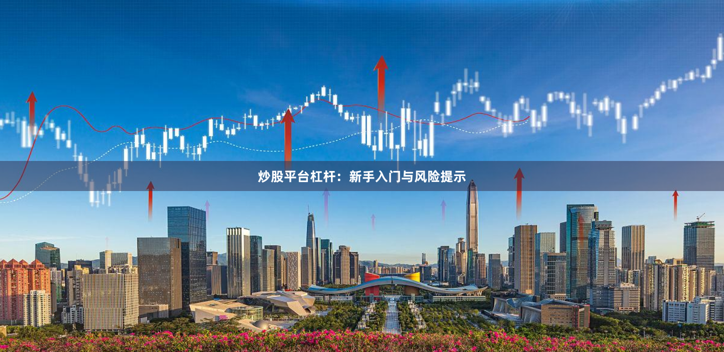 炒股平台杠杆：新手入门与风险提示