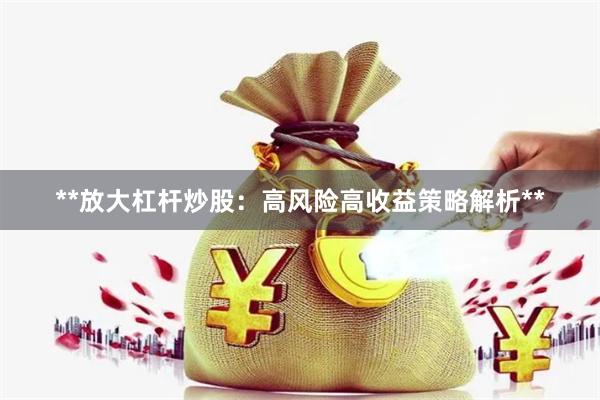 **放大杠杆炒股：高风险高收益策略解析**