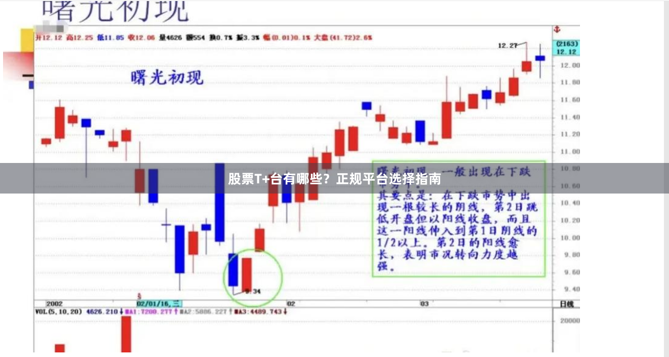 股票T+台有哪些？正规平台选择指南