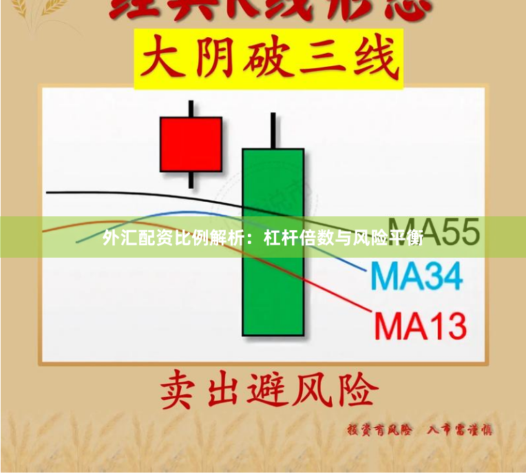 外汇配资比例解析：杠杆倍数与风险平衡