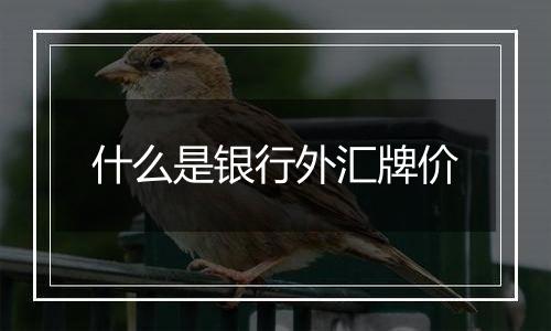 什么是银行外汇牌价