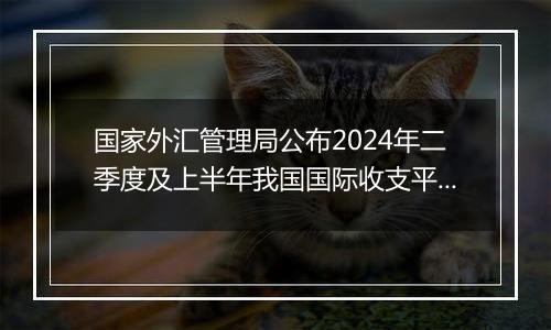 国家外汇管理局公布2024年二季度及上半年我国国际收支平衡表