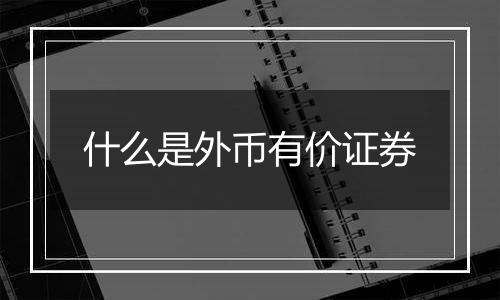 什么是外币有价证券