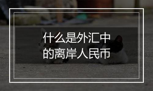 什么是外汇中的离岸人民币