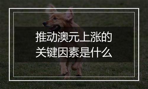 推动澳元上涨的关键因素是什么