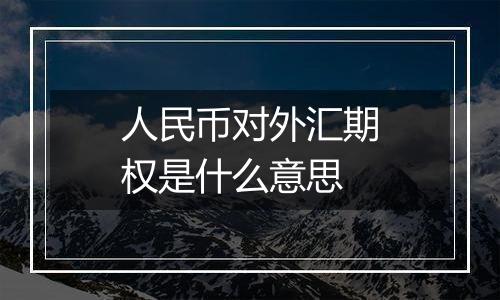 人民币对外汇期权是什么意思