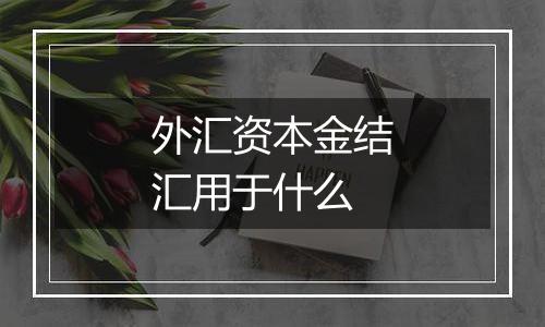 外汇资本金结汇用于什么