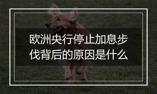 欧洲央行停止加息步伐背后的原因是什么