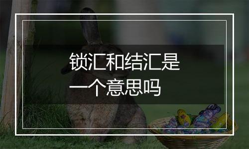 锁汇和结汇是一个意思吗