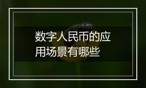 数字人民币的应用场景有哪些