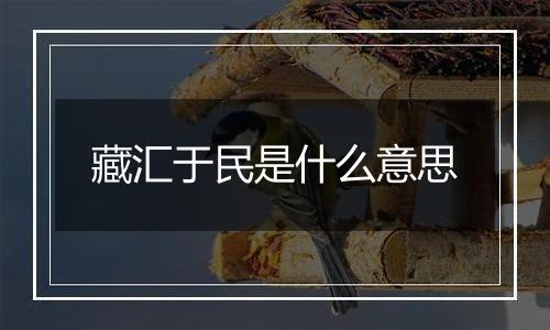 藏汇于民是什么意思