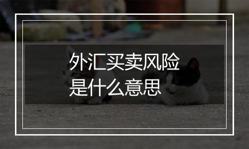 外汇买卖风险是什么意思