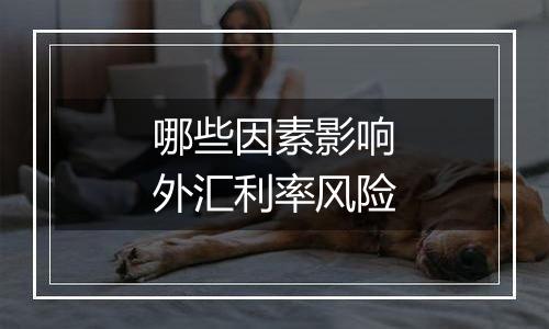 哪些因素影响外汇利率风险