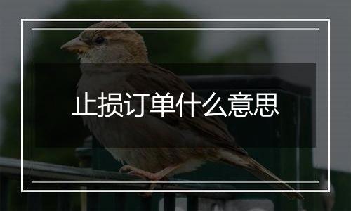 止损订单什么意思