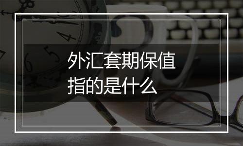 外汇套期保值指的是什么