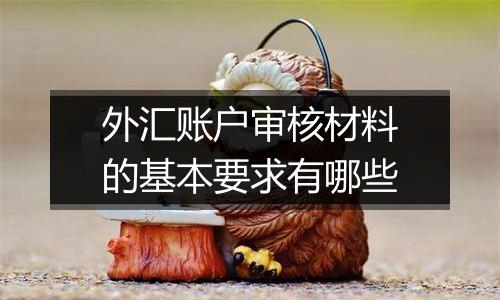 外汇账户审核材料的基本要求有哪些