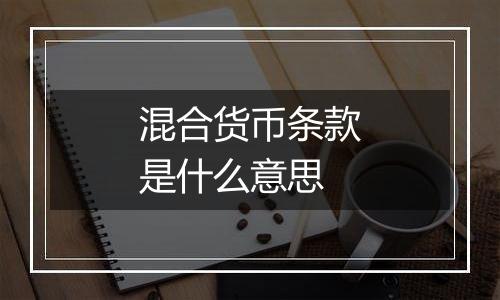 混合货币条款是什么意思