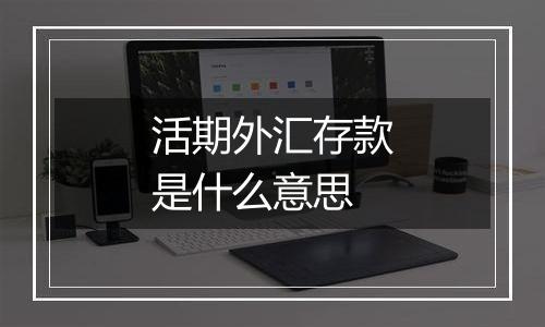 活期外汇存款是什么意思