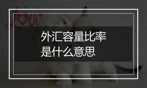 外汇容量比率是什么意思