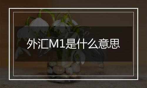 外汇M1是什么意思