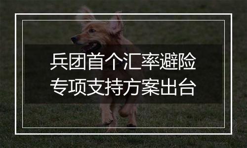 兵团首个汇率避险专项支持方案出台