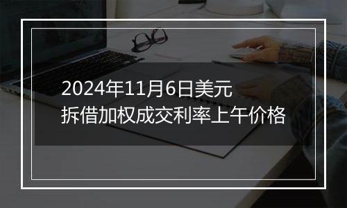 2024年11月6日美元拆借加权成交利率上午价格