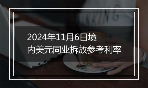 2024年11月6日境内美元同业拆放参考利率