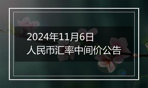 2024年11月6日人民币汇率中间价公告