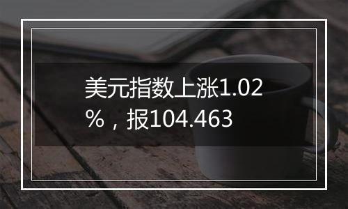 美元指数上涨1.02%，报104.463