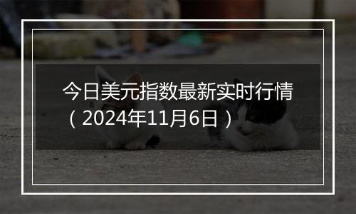 今日美元指数最新实时行情（2024年11月6日）