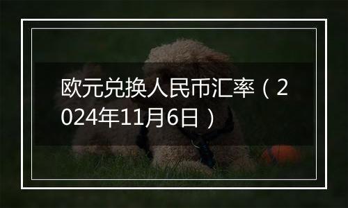 欧元兑换人民币汇率（2024年11月6日）