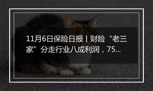 11月6日保险日报丨财险“老三家”分走行业八成利润，75家人身险公司前三季度净赚超2800亿