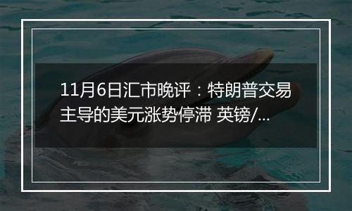 11月6日汇市晚评：特朗普交易主导的美元涨势停滞 英镑/美元回升至1.2910附近