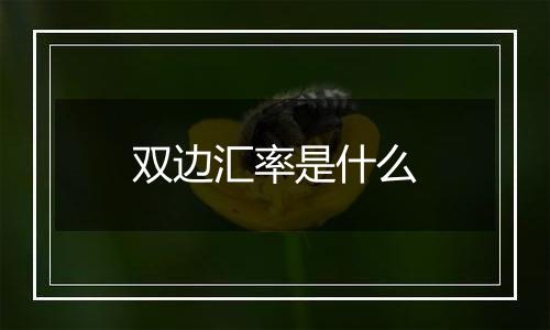 双边汇率是什么