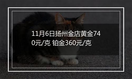 11月6日扬州金店黄金740元/克 铂金360元/克