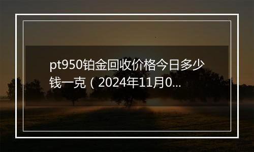 pt950铂金回收价格今日多少钱一克（2024年11月06日）