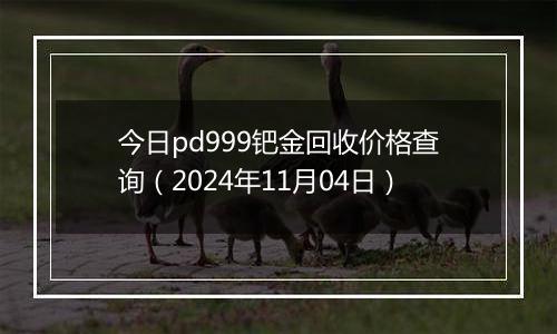 今日pd999钯金回收价格查询（2024年11月04日）