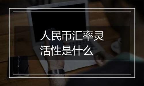 人民币汇率灵活性是什么