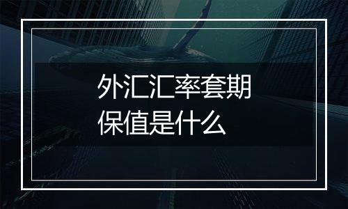 外汇汇率套期保值是什么