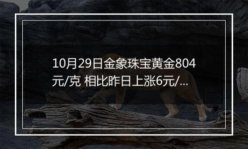 10月29日金象珠宝黄金804元/克 相比昨日上涨6元/克