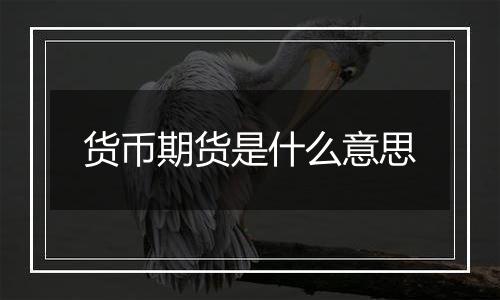 货币期货是什么意思