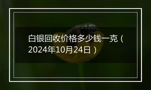 白银回收价格多少钱一克（2024年10月24日）