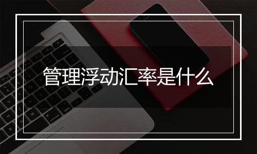 管理浮动汇率是什么