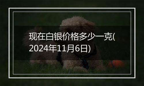 现在白银价格多少一克(2024年11月6日)