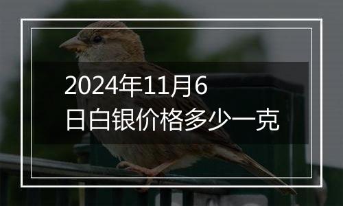 2024年11月6日白银价格多少一克