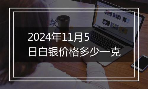 2024年11月5日白银价格多少一克