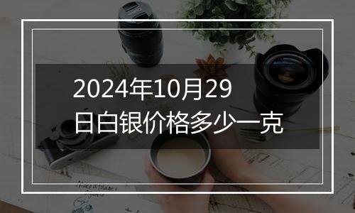 2024年10月29日白银价格多少一克