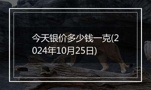 今天银价多少钱一克(2024年10月25日)