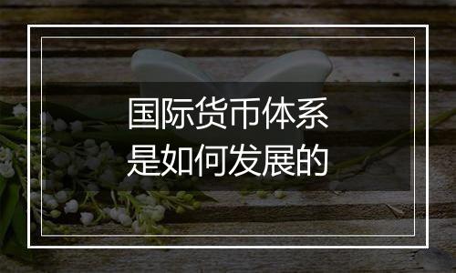 国际货币体系是如何发展的