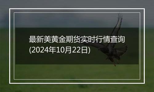 最新美黄金期货实时行情查询(2024年10月22日)